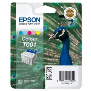 Μελάνι Epson C13T00101110 Color 5